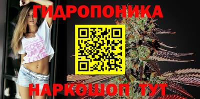 ешки Бийск