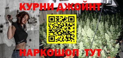 ешки Бийск
