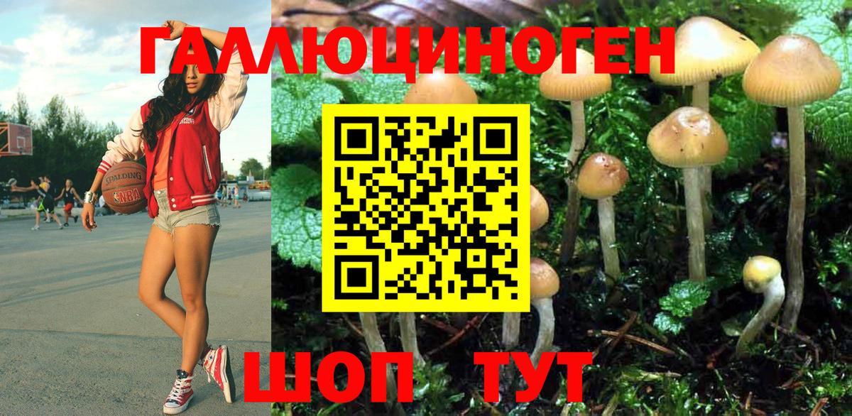 Псилоцибиновые грибы мицелий Кимры